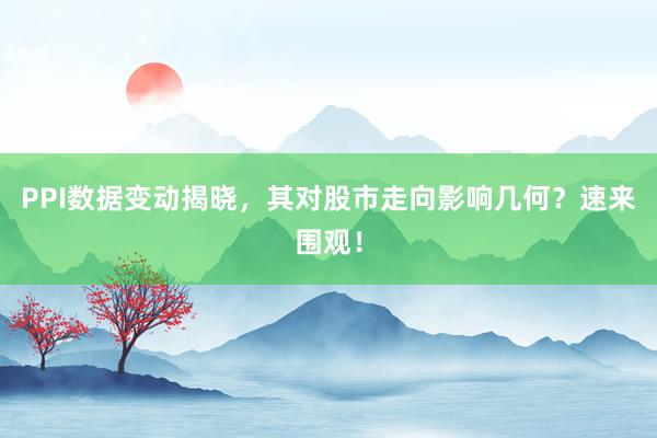 PPI数据变动揭晓，其对股市走向影响几何？速来围观！