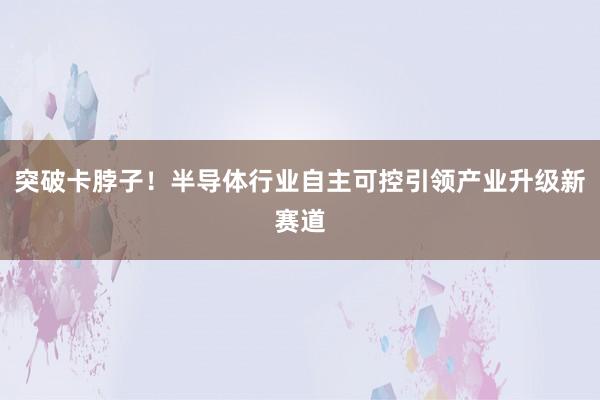 突破卡脖子!半导体行业自主可控引领产业升级新赛道