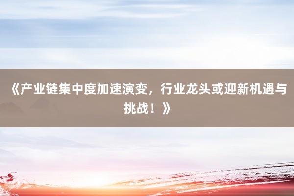 《产业链集中度加速演变，行业龙头或迎新机遇与挑战！》