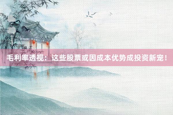 毛利率透视：这些股票或因成本优势成投资新宠！