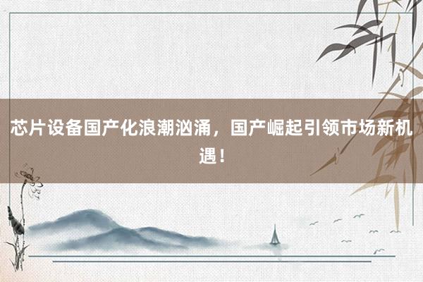 芯片设备国产化浪潮汹涌，国产崛起引领市场新机遇！