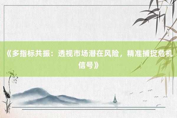 《多指标共振：透视市场潜在风险，精准捕捉危机信号》