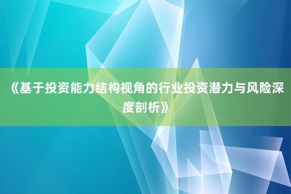 《基于投资能力结构视角的行业投资潜力与风险深度剖析》