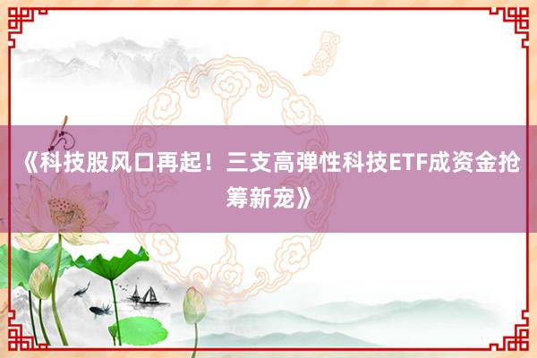 《科技股风口再起！三支高弹性科技ETF成资金抢筹新宠》