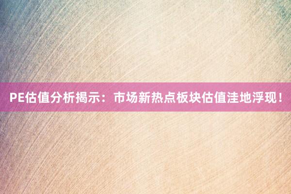 PE估值分析揭示：市场新热点板块估值洼地浮现！
