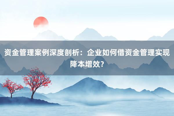 资金管理案例深度剖析:企业如何借资金管理实现降本增效?