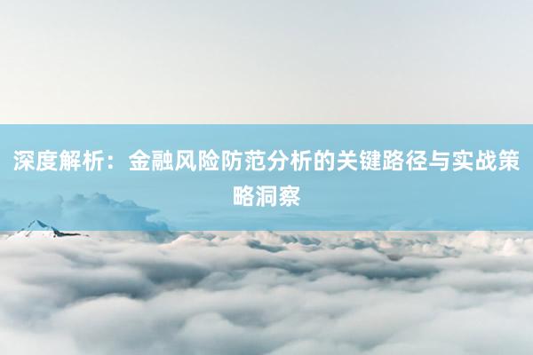 深度解析：金融风险防范分析的关键路径与实战策略洞察