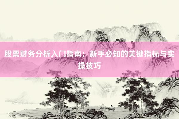 股票财务分析入门指南：新手必知的关键指标与实操技巧