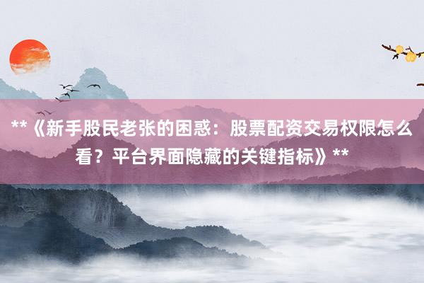 **《新手股民老张的困惑：股票配资交易权限怎么看？平台界面隐藏的关键指标》**