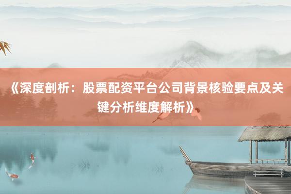 《深度剖析：股票配资平台公司背景核验要点及关键分析维度解析》