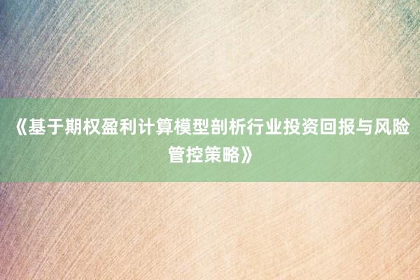 《基于期权盈利计算模型剖析行业投资回报与风险管控策略》